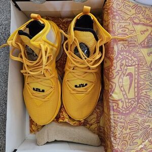 Nike Lebron XIX Men Shoes